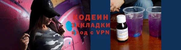 трава Коряжма
