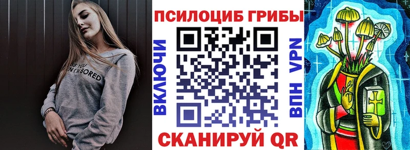 наркота  Малгобек  МЕГА как зайти  Галлюциногенные грибы прущие грибы 